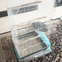 قفس بزرگ و کوتوله آبی