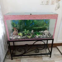 آکواریوم فوق تمیز درحد باتمام لوازم با پایه فرفوژه