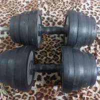 یک جفت دمبل رکورد