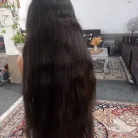 موهات به صادر کننده اصلی بفروش