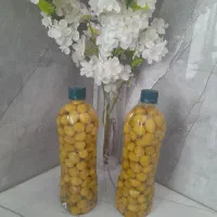 زیتون درشت و ممتاز