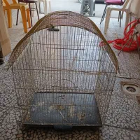 چهار تا قفس سایز بزرگ|لوازم جانبی حیوانات|رشت, معلولین|دیوار