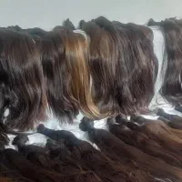 سالن تخصصی برای فروش مو خرید مو