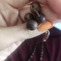 تسبیح|کلکسیون اشیاء عتیقه|طرقبه, |دیوار