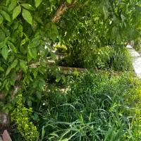 کردان کوهسار تهاتر ۷۵۰متر با ۱۷۰متر بنا فول مبله|فروش خانه و ویلا|کوهسار (البرز), |دیوار