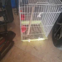 قفس پرنده
