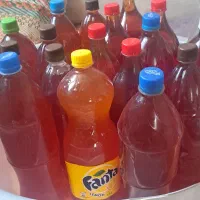 آبغوره اربطان