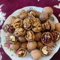 گردو نیمه کاغذی تازه روغنی