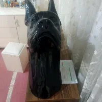 کله سگ دکوری|مجسمه، تندیس، ماکت|خرمدره, |دیوار