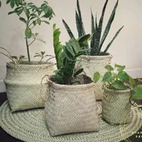 سبد حصیری با قیمت مناسب|صنایع دستی و سایر لوازم تزئینی|مشهد, رضاشهر|دیوار