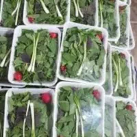 سبزیجات اماده مادرجون|خوردنی و آشامیدنی|شیراز, لشکری‎|دیوار