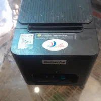 فیش پیرینتر