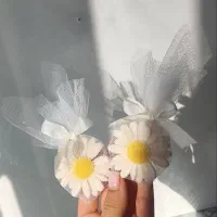 کرکره|کلکسیون اشیاء عتیقه|مریوان, |دیوار