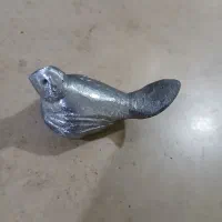 یک کبوترکوچک بافلزی سنگین ودیدنی