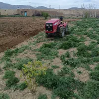 تراکتور باغی ۹۵۰ کمرشکن