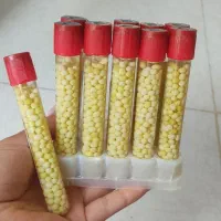 تخم حلزون هر ۲۰۰ عدد زیر قیمت بازار