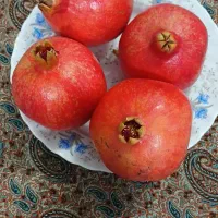 انار آبدار میخوش|خوردنی و آشامیدنی|یزد, |دیوار