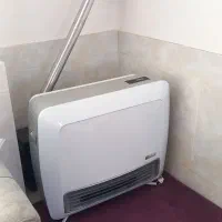 بخاری گازی آران