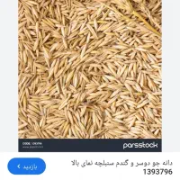 فروش ۱۵۰ من جو دیم  منی ۲۳۰ هزار تومان