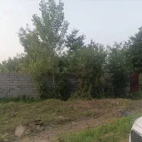 فروش زمین ۵۸۵ متربا پروانه ساخت لیالستان لاهیجان|فروش زمین و ملک کلنگی|لاهیجان, لیالستان|دیوار