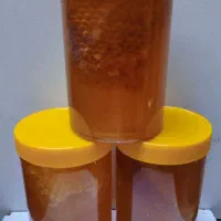 عسل طبیعی آذربایجان|حراج|قم, نیروگاه|دیوار