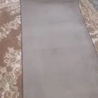 موکت