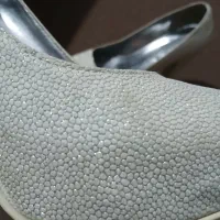 کفش مجلسی|کیف، کفش، کمربند|تاکستان, |دیوار