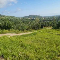 زمین مسکونی در بام تنکابن با دید ابدی با جوازساخت|فروش زمین و ملک کلنگی|تنکابن, |دیوار