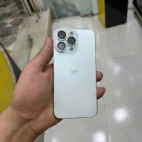 13pro