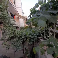 فروش یک طبقه ویلایی