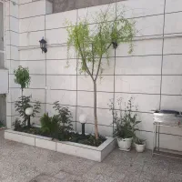 ویلایی 100متری سند شش دانگ تک برگ