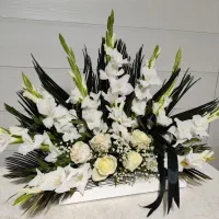 سبد گل ترحیم باکس گل ترحیم|گل و گیاه طبیعی|مشهد, امامیه (شهرک غرب)|دیوار