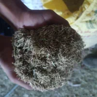 باسلام 2تن خاردریجه یک فروشی