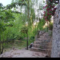 سلام باغ زشک فروشی