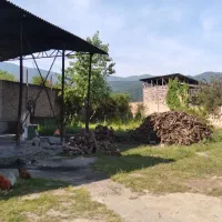 دامداری صنعتی