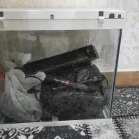 اکواریوم  شرکتی با تمامی تجهیزات