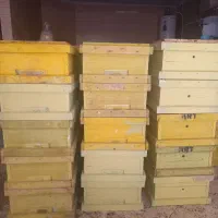 طبق کندوی زنبور عسل ۴۰عدد