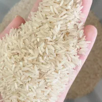 برنج فجر سوزنی ۱۲۰ روزه   ( دهنه چینو )