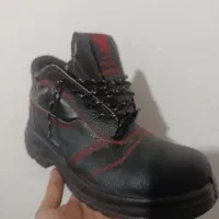 کفش کار|کیف، کفش، کمربند|پاسارگاد, |دیوار