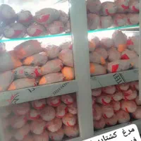 یک فروشنده خانم