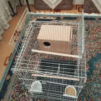 قفس بزرگ طوطی سانان|لوازم جانبی حیوانات|اردکان, |دیوار