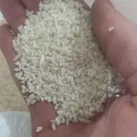 زیرقیمت کل بازار ایران|خوردنی و آشامیدنی|تاکستان, |دیوار