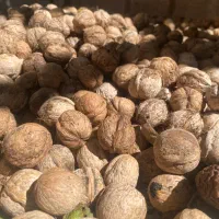 گردو و برنج|خوردنی و آشامیدنی|کیش, |دیوار