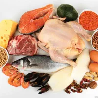 پخش گوشت و مرغ