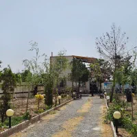 باغچه با پیش پرداخت ۵۰م سندار دسته اول از مالک|فروش زمین و ملک کلنگی|مشهد, توس فردوسی|دیوار