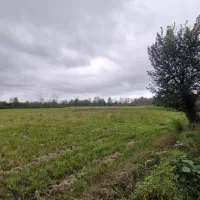 خانه کلنگی ۸ هزار متری|فروش خانه و ویلا|خشکبیجار, |دیوار