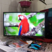 تلویزیون ال ای دی  ۳۲اینچ ایولی ماهواره سرخود