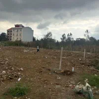 زمین برای مشارکت|مشارکت در ساخت املاک|رشت, کوی غلام نیا|دیوار