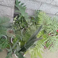 انواع گل|گل و گیاه طبیعی|رشت, بیجارپس|دیوار