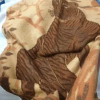 پتو پلنگی|رختخواب، بالش، پتو|قم, آزادگان|دیوار